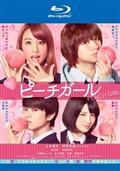 観月ありさ主演】華和家の四姉妹 1巻 | 宅配DVDレンタルの