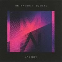 MAGNIFY