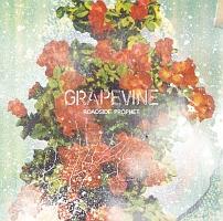 ROADSIDE PROPHET(ʏ)/GRAPEVINẺ摜EWPbgʐ^