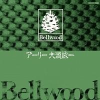 �A�[���[���r��