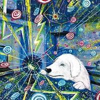 502�����̃V���E�X(�ʏ��)