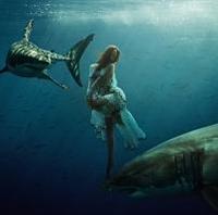 �G���e�B�V�Y��