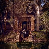 �T�E���h�E�I�u�E�U�E�E�B���h(�X�y�V�����v���C�X��)