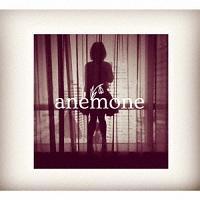 anemone