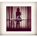 anemone