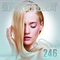 X[p[[r[g VOL.246