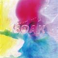SOAK(�ʏ��)