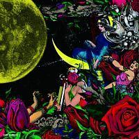 ��A�J�������̎��W(�ʏ��)