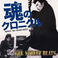 ̃NjN DEBUT 30 YEARS BEST