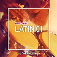 NTVM Music Library �T�E���h�W�������� ���e��01