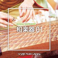 NTVM Music Library y ay01