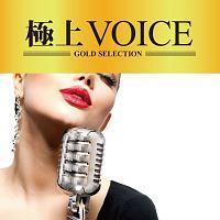 ɏVOICE