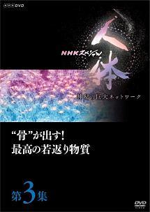 ＮＨＫスペシャル 人体 神秘の巨大ネットワーク 第３集 “骨”が出す