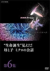 ＮＨＫスペシャル 人体 神秘の巨大ネットワーク 第６集 “生命誕生”見え