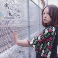 ����R�R���͊C�̌�