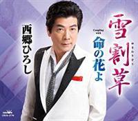 �yMAXI�z�ኄ��/���̉Ԃ�(�}�L�V�V���O��)