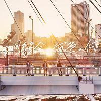 �yMAXI�z���F�̉�(�ʏ��)(�}�L�V�V���O��)