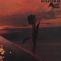 �p���V���[�g+6(���W���P�b�g�d�l)