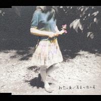 �yMAXI�z�^�Ă̖�̎�(�}�L�V�V���O��)