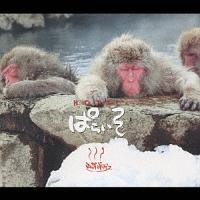 �z�e���ς炢��