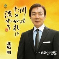 �yMAXI�z��͂�������ɗ����(�}�L�V�V���O��)