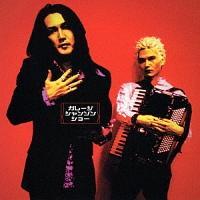 �K���[�W�V�����\���V���[