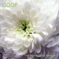 �n�C�h�����W�A�Y�E�E�B�X�p�[