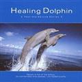 Healing Dolphin`q[OEhtB