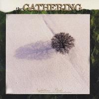 �i�C�g�^�C�� �o�[�Y