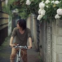 �yMAXI�z���z�Ԓʂ�(�}�L�V�V���O��)