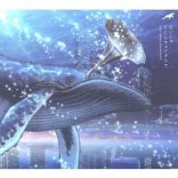 ������t�H�m�O���t