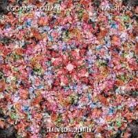 �g�����W�V����