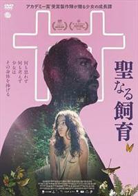 ���Ȃ鎔��