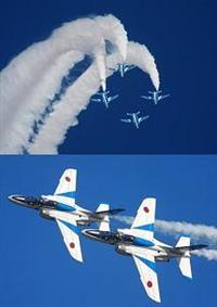 �u���[�C���p���X�E�ȋZ��s�@�u�����D�U