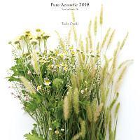 Pure Acoustic 2018