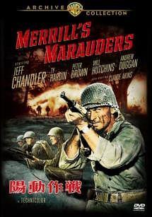 陽動作戦のサムネイル画像