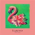 【MAXI】Flamingo/TEENAGE RIOT(マキシシングル)
