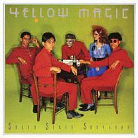 SOLID STATE SURVIVOR