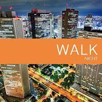 NIGHT WALK