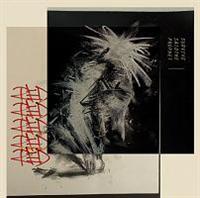 �yMAXI�zRED(�}�L�V�V���O��)