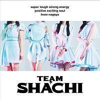 TEAM SHACHI(positive exciting soul��)