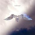 ICARUS / FALLS