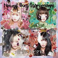 yMAXIzNatural Born Independent/}XZNg(}LVVO)
