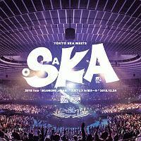 2018 Tour uSKANKING JAPANv gXJtFX in z[
