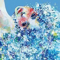 SYNESTHESIA