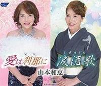 �yMAXI�z���͙��߂�/�܎���(�}�L�V�V���O��)