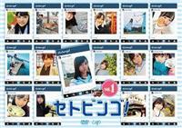 �r�s�t�S�W�̃Z�g�r���S�I�u�����D�P