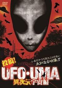 ���e�I�t�e�n�E�t�l�`�@�َ����F����