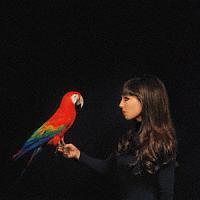 �N���[�h�E�t�H���e�[�k