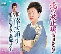 �yMAXI�z�k�̔g�~��/�􂹒ʂ�(�}�L�V�V���O��)